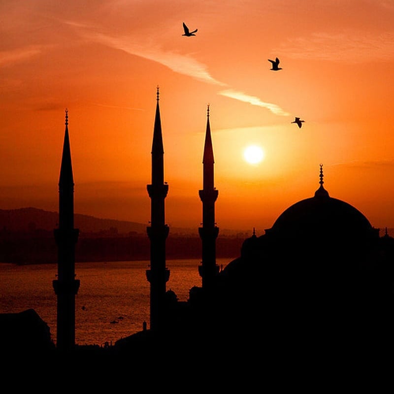 ދުނިޔެބަދަލުކޮށްލެއްވި ނަބިއްޔާ - 37