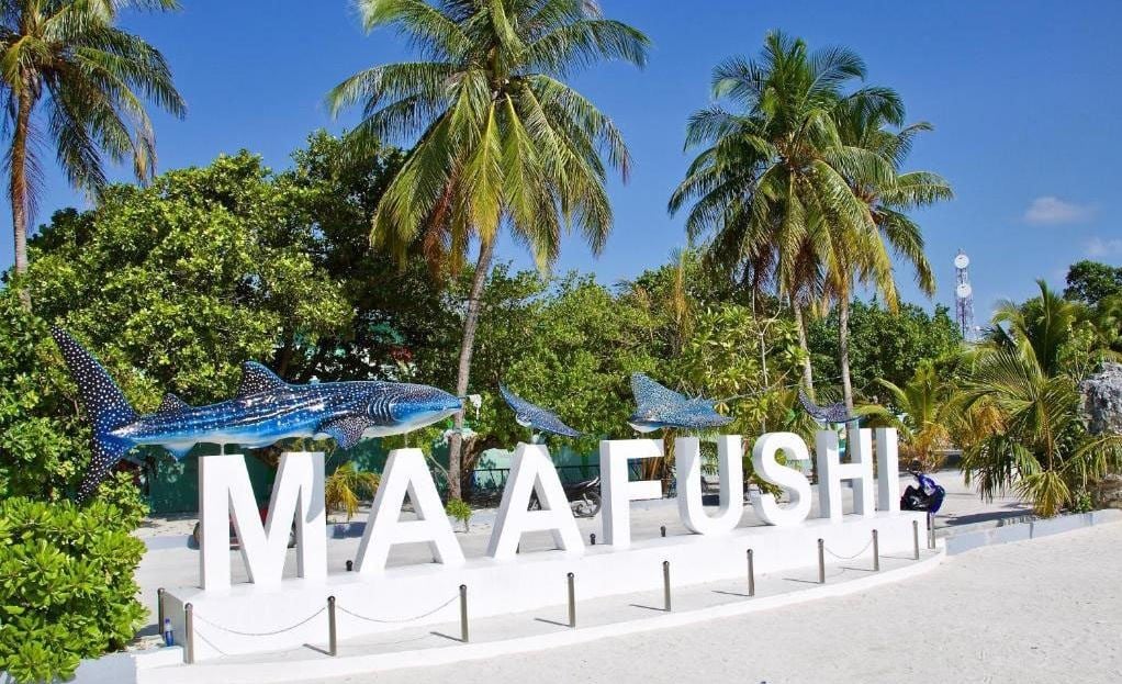 މާފުށީގައި ފިޠުރު ޢީދު ފާހަގަކުރުމަށް ހަވާ އަރުވަނީ