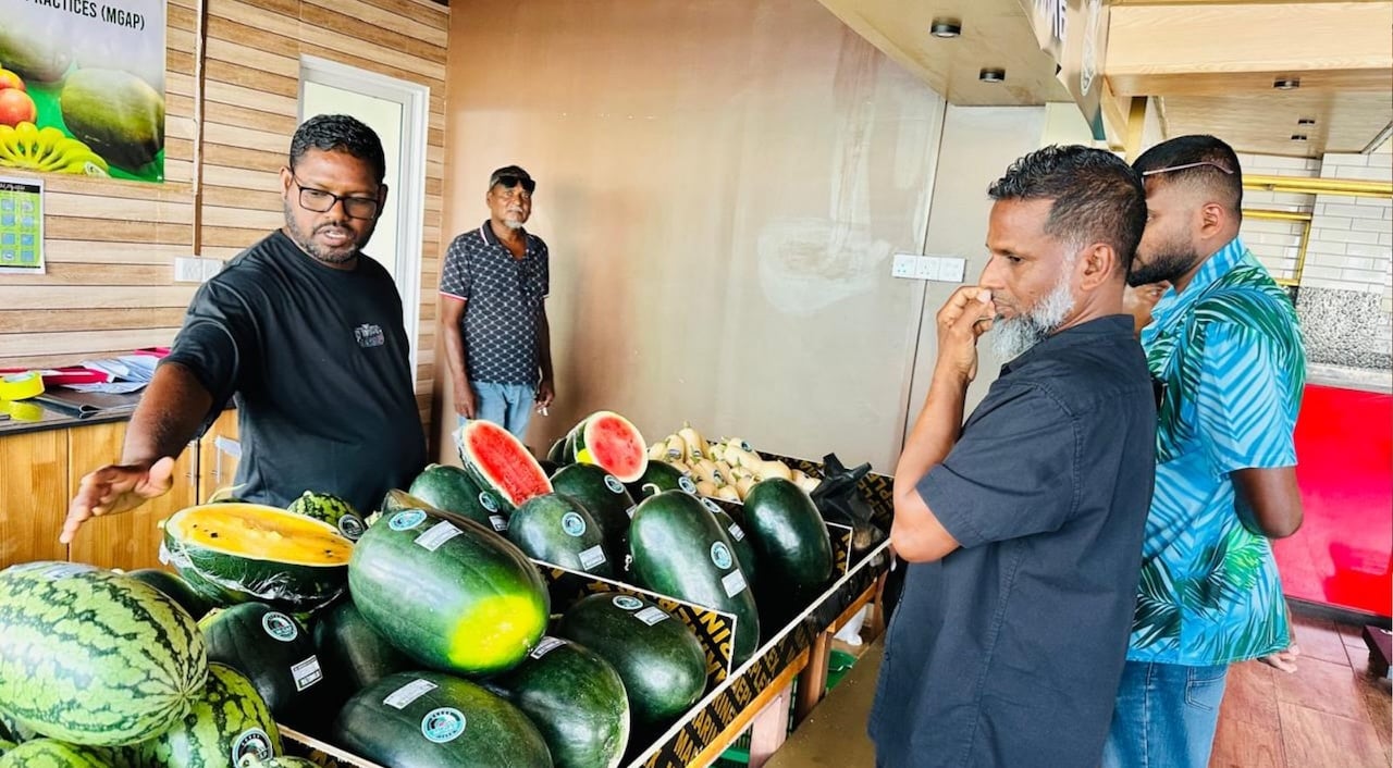 ގޮއިދޫގައި ކެންސަރު ގިނަވާތީ ދަނޑުތަކުގައި ކެމިކަލް ބޭނުންކުރާ މިންވަރު ބަލަން ފަށައިފި