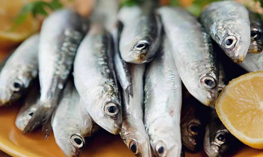 ރީތިވުމަށް ބޭނުންކުރާ އެންމެ ފަހުގެ "ސުޕަރ ފުޑް" އަށް ސާޑިން ވެގެންދިޔަ ސަބަބު