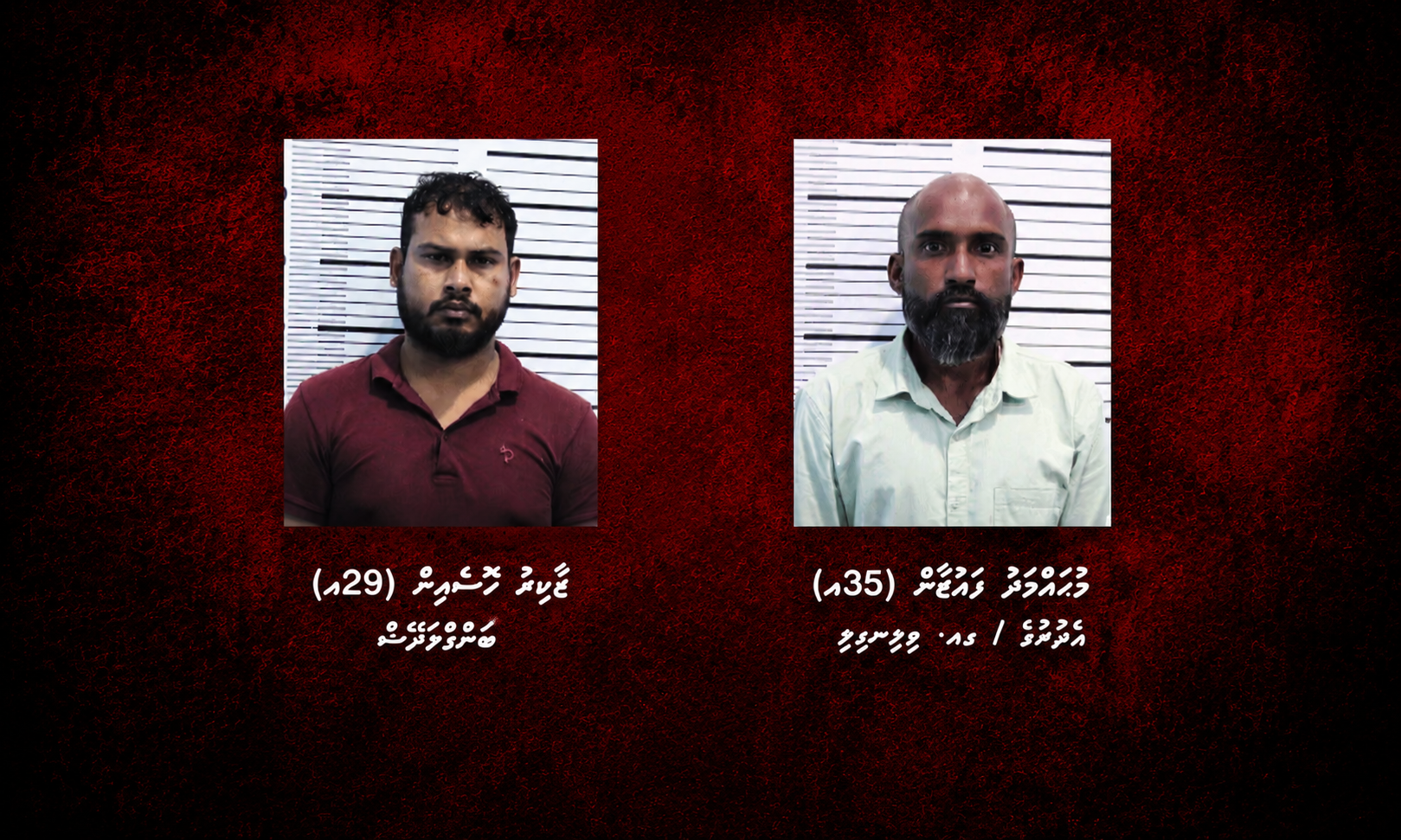 ކިލޯއަކަށް ވުރެ ގިނަ މަސްތުވާތަކެއްޗާއެކު ދިވެއްސަކާއި ބިދޭސީއަކު ހައްޔަރުކޮށްފި