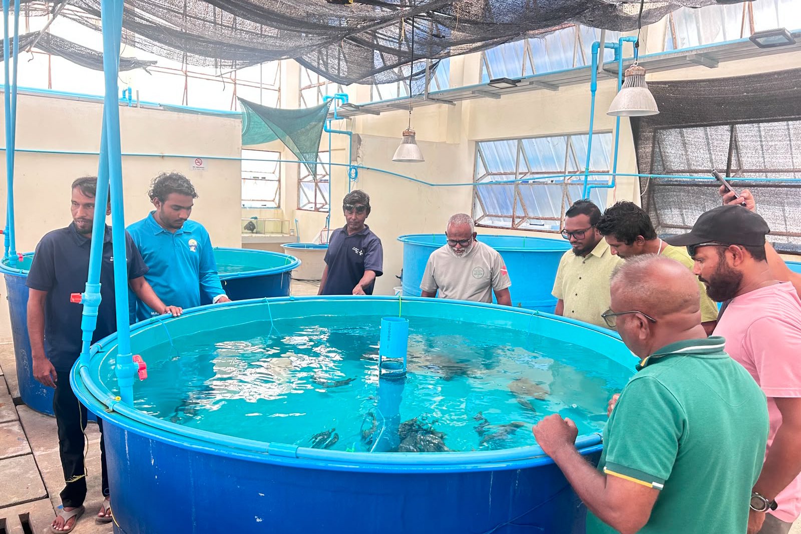 މެރިން ހެޗަރީ ސްކިލްސް ޑިވެލޮޕްމަންޓް ޕްރޮގްރާމްގައި ބައިވެރިވުމުގެ ފުރުސަތު ހުޅުވާލައިފި