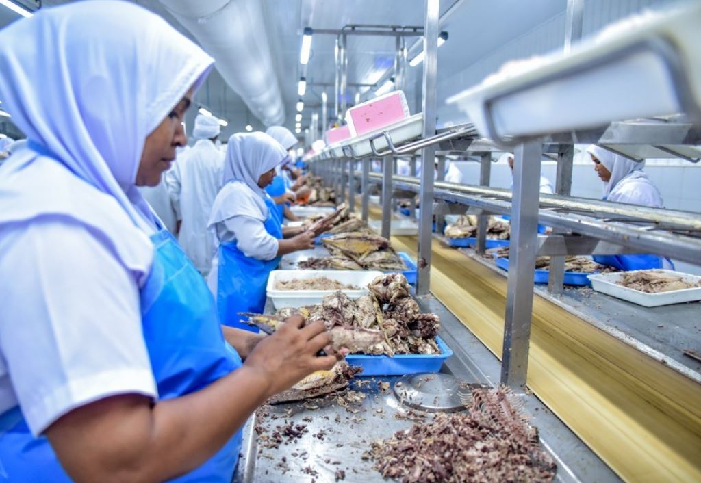 ރާއްޖެއިން އިންޑިއާއަށް އެކްސްޕޯޓްކުރާ މަހުގެ އުފެއްދުންތަކުން ނަގާ ޑިއުޓީ ކަނޑާލައިފި