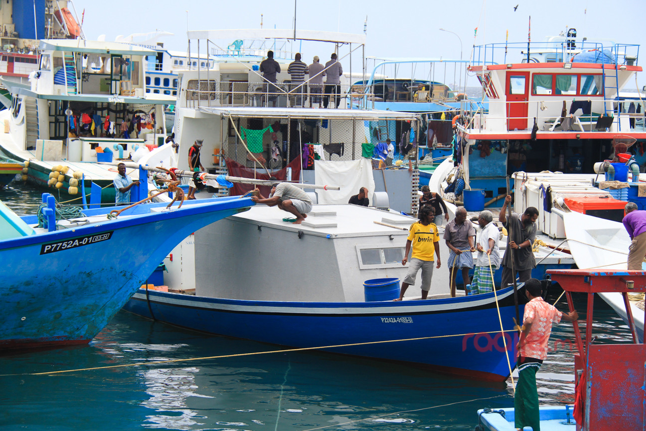 ކަނޑު އުޅަނދުފަހަރާ މެދު ފަރުވާ ކުޑަކުރާނަމަ ފިޔަވަޅު އަޅަނީ