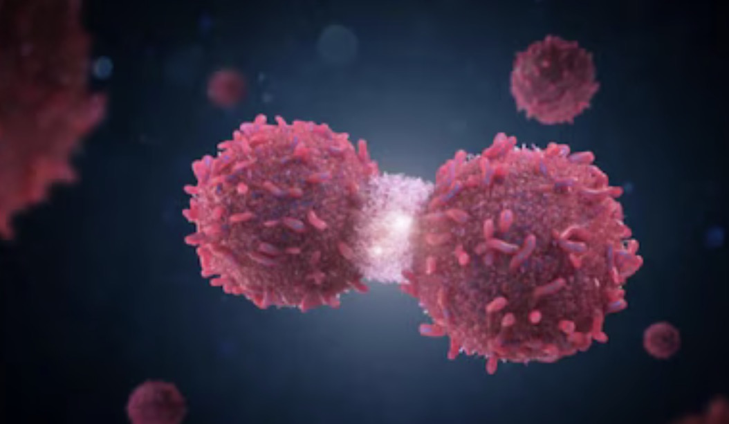 ފްރީޒް ތެރަޕީ: ކެންސަރު ބަލިމީހުންގެ ދިރިއުޅުމުގެ ފެންވަރު ރަނގަޅުކޮށްދޭ އައު ޒަމާނީ ފަރުވާއެއް