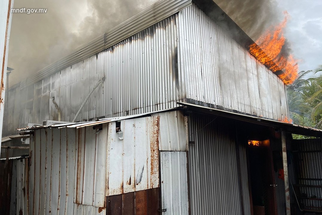 ކުޅުދުއްފުށީ ސްކޫލުގެ ލޭބަރ ކުއާޓާއެއްގައި އަލިފާން ރޯވެއްޖެ