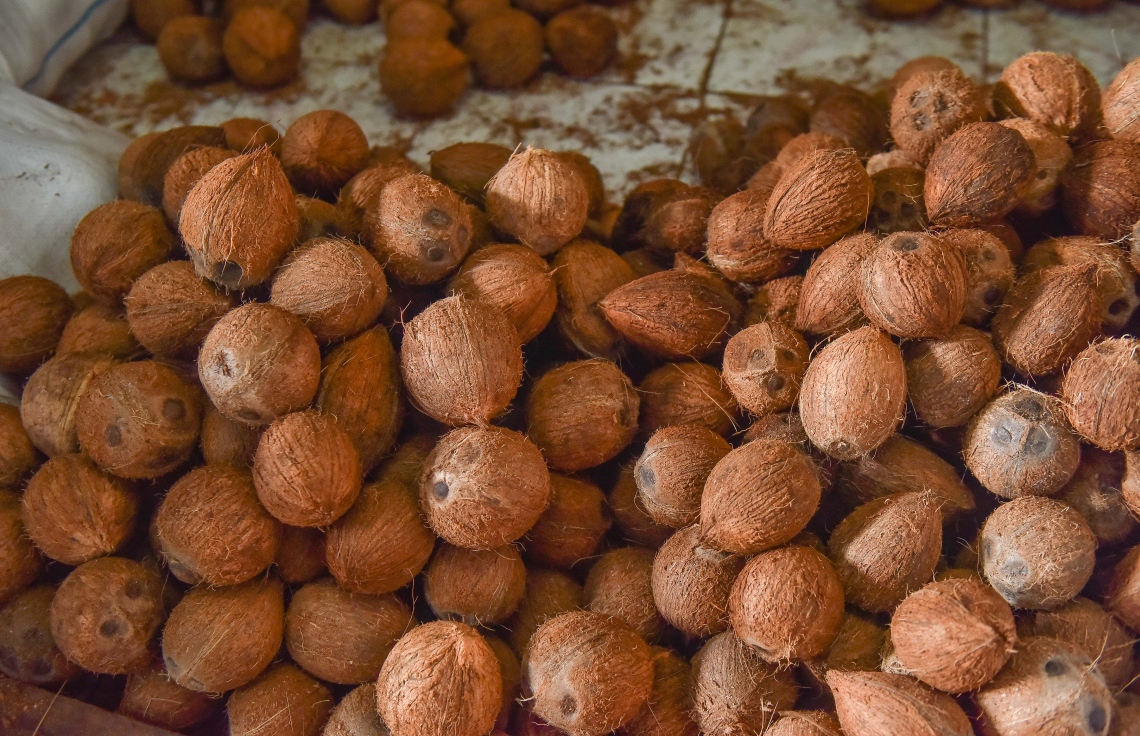 ބާޒާރުގައި ކާށީގެ އަގު ބޮޑުވުމުން އެސްޓީއޯއިން ޝިޕްމަންޓެއް ގެންނަނީ