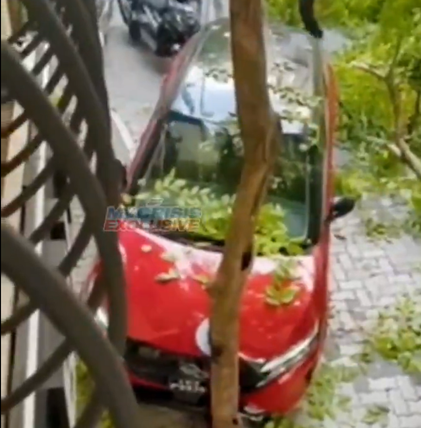 ކާރެއް ގަހެއްގައި ޖެހި އެކްސިޑެންޓެއް ހިނގައިފި