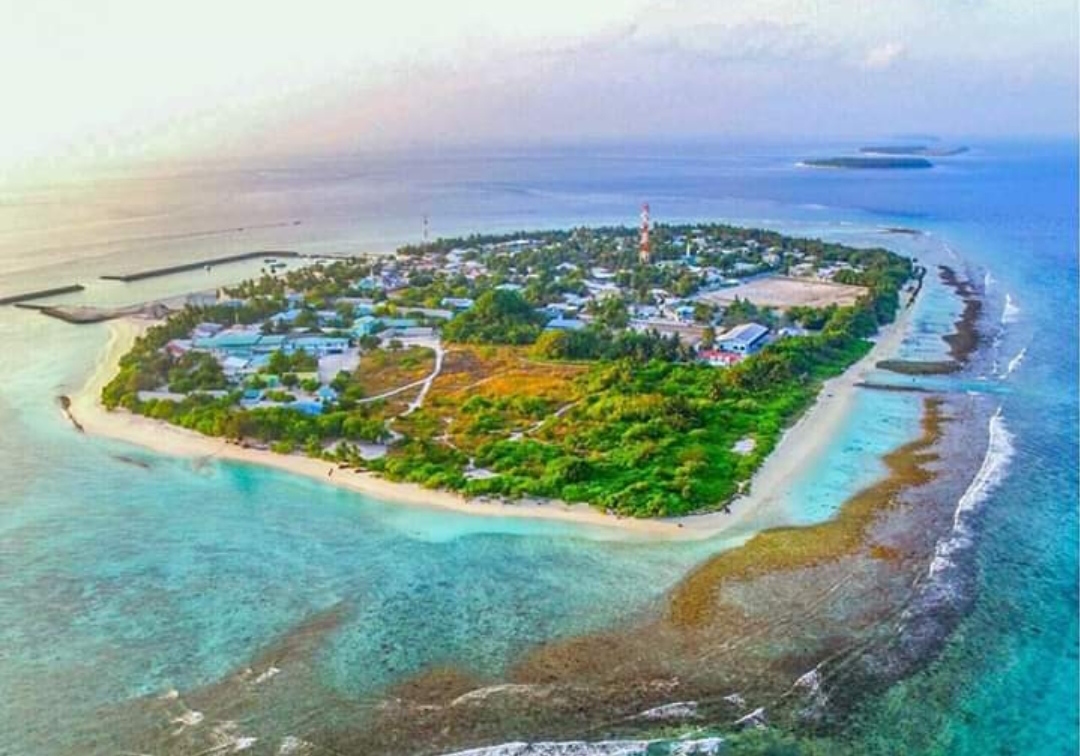 އުނގޫފާރުން ގޯތި ދޫކުރަނީ