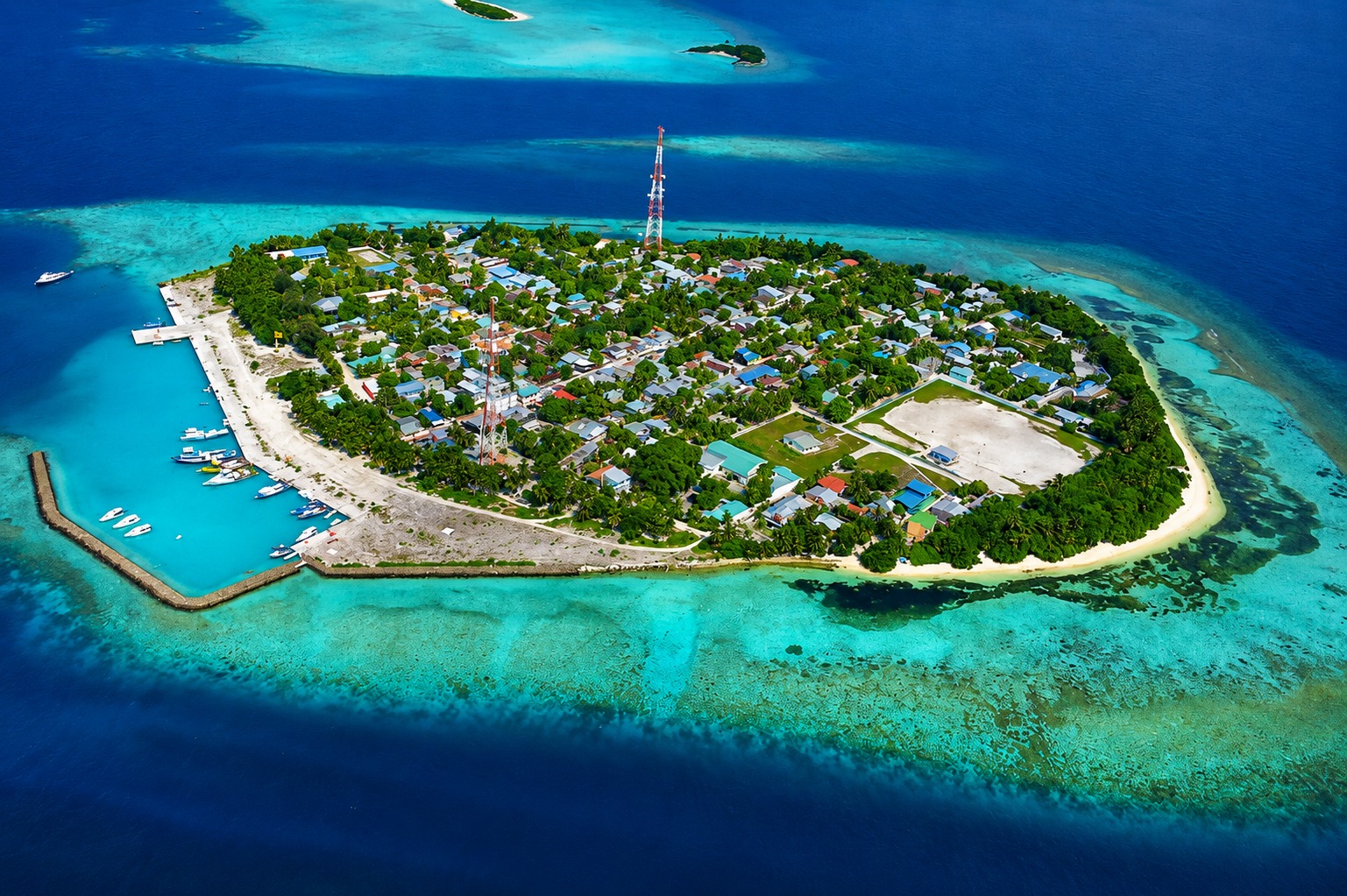 ރަސްދޫގައި ދަރިފުޅަށް ދިން ހަމަލާ ފެނި ހޭނެތުނު މަންމަ ނިޔާވެއްޖެ