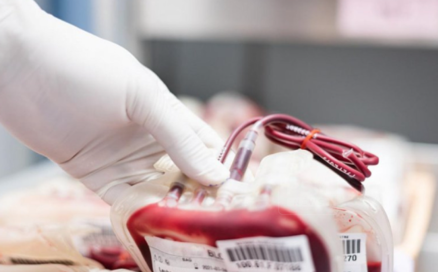 ކައިވެނީގެ ކުރިން ތެލެސީމިއާ ކެރިއަރުން ވަކި ޕްރޮގްރާމެއްގައި ބައިވެރިވުން ލާޒިމް ކުރަނީ