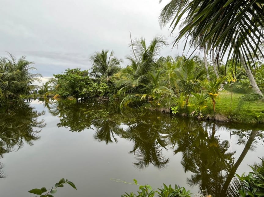 އިންޑިއާ އެހީގައި ފަރެސްމާތޮޑާގައި ހެދި ބަގީޗާ ހުޅުވައިފި