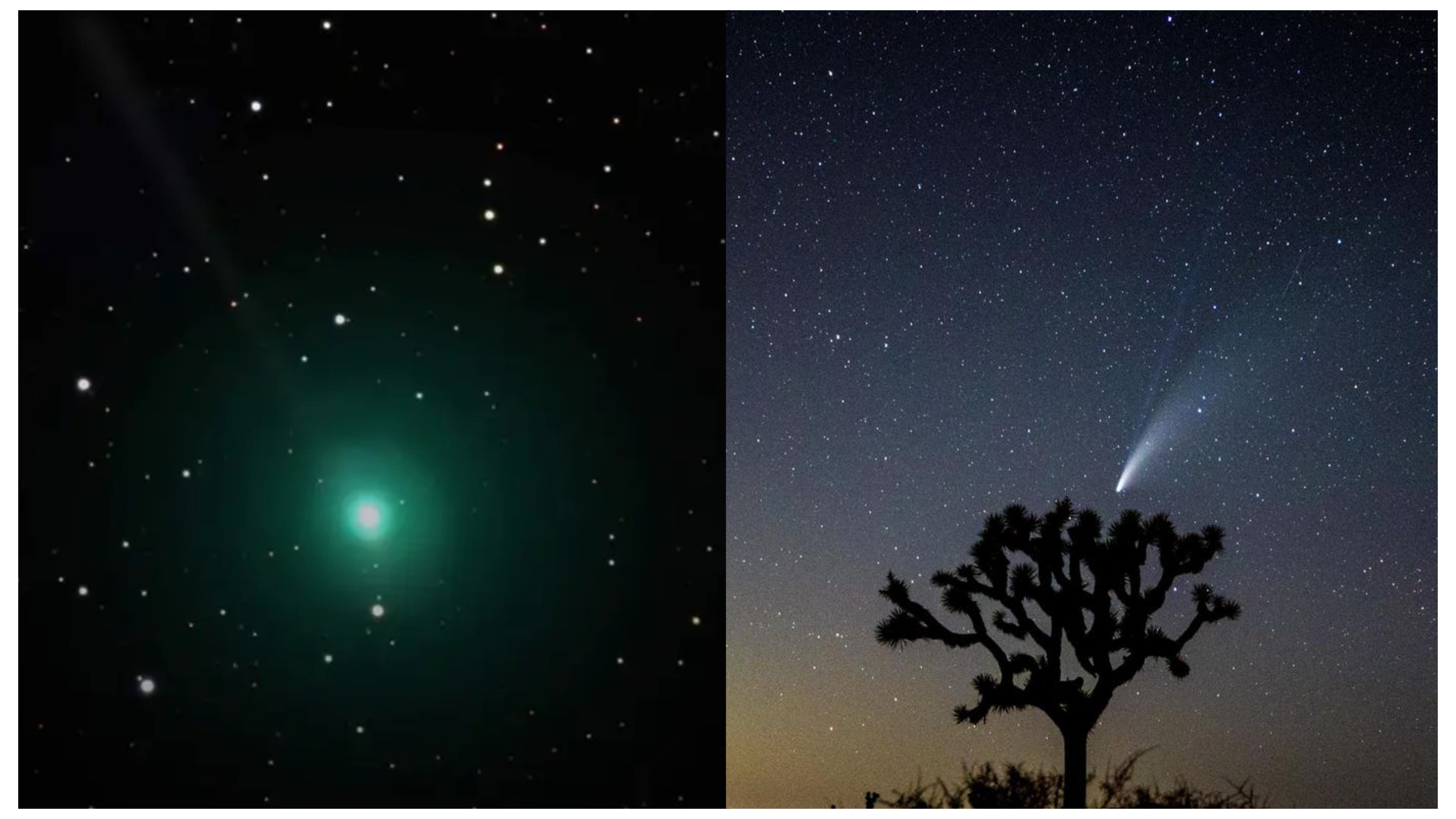 އުޑުމަތިން އާދަޔާ ހިލާފު އަލިގަދަ ކޮމެޓެއް ފެންނަނީ: މި ހަފްތާ ބަންދަކީ ބަލާލަން އެންމެ ރަނގަޅު ވަގުތު