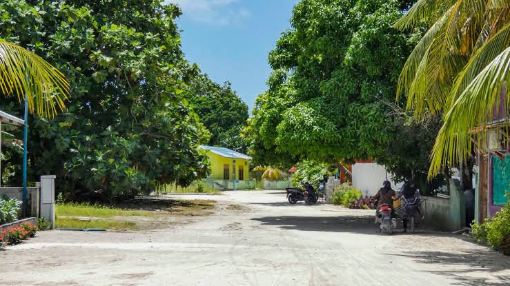 ލަންދޫގައި ހުމެއް ފެތުރި ގިނަ ބަޔަކު ބަލިވަމުންދާތީ ކޮވިޑާއި އިންފްލުއެންޒާއަށް ޓެސްޓުކުރަން އަންގައިފި