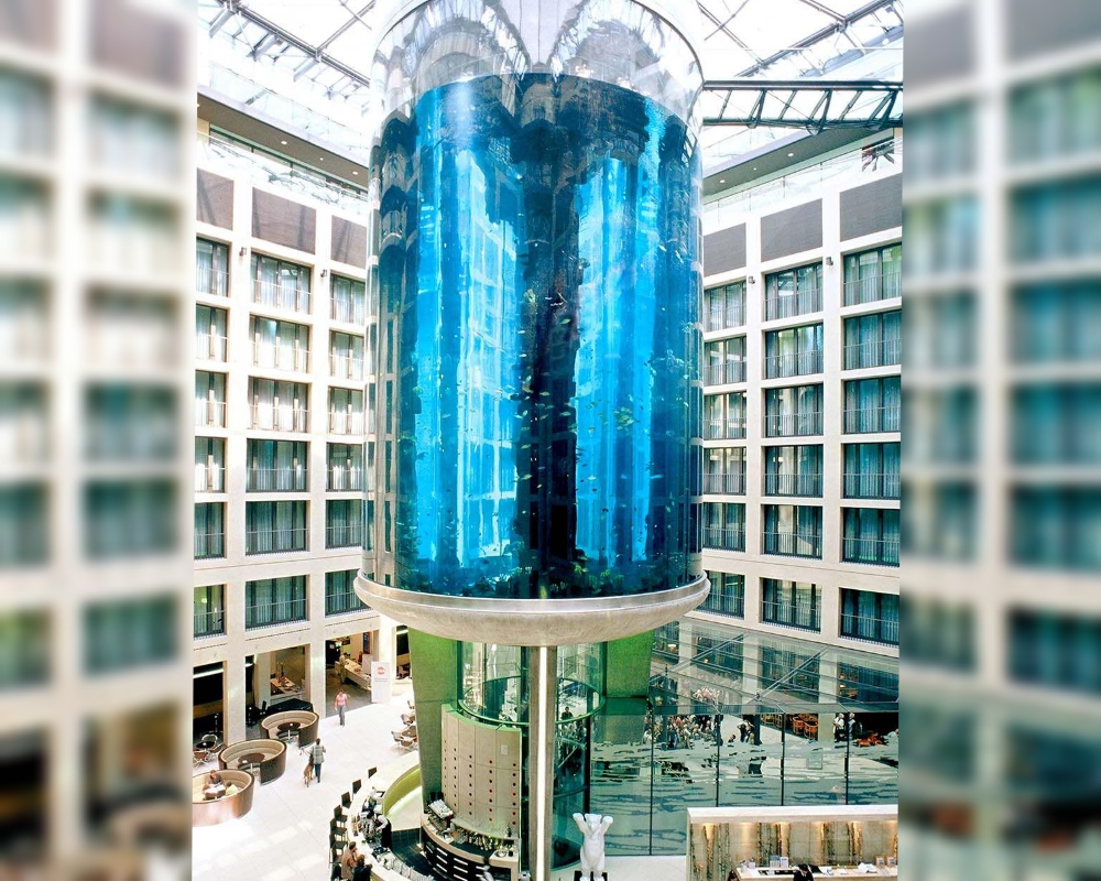 1500 މަހާއެކު ދުނިޔޭގެ އެންމެ ބޮޑު ސިލިންޑެރިކަލް އެކުއޭރިއަމް ފަޅައިގެން!