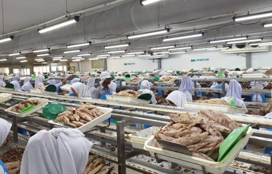 ފެލިވަރު ކޯލްޑް ސްޓޯރޭޖް މަސައްކަތް އަންނަމަހު ފަށަނީ