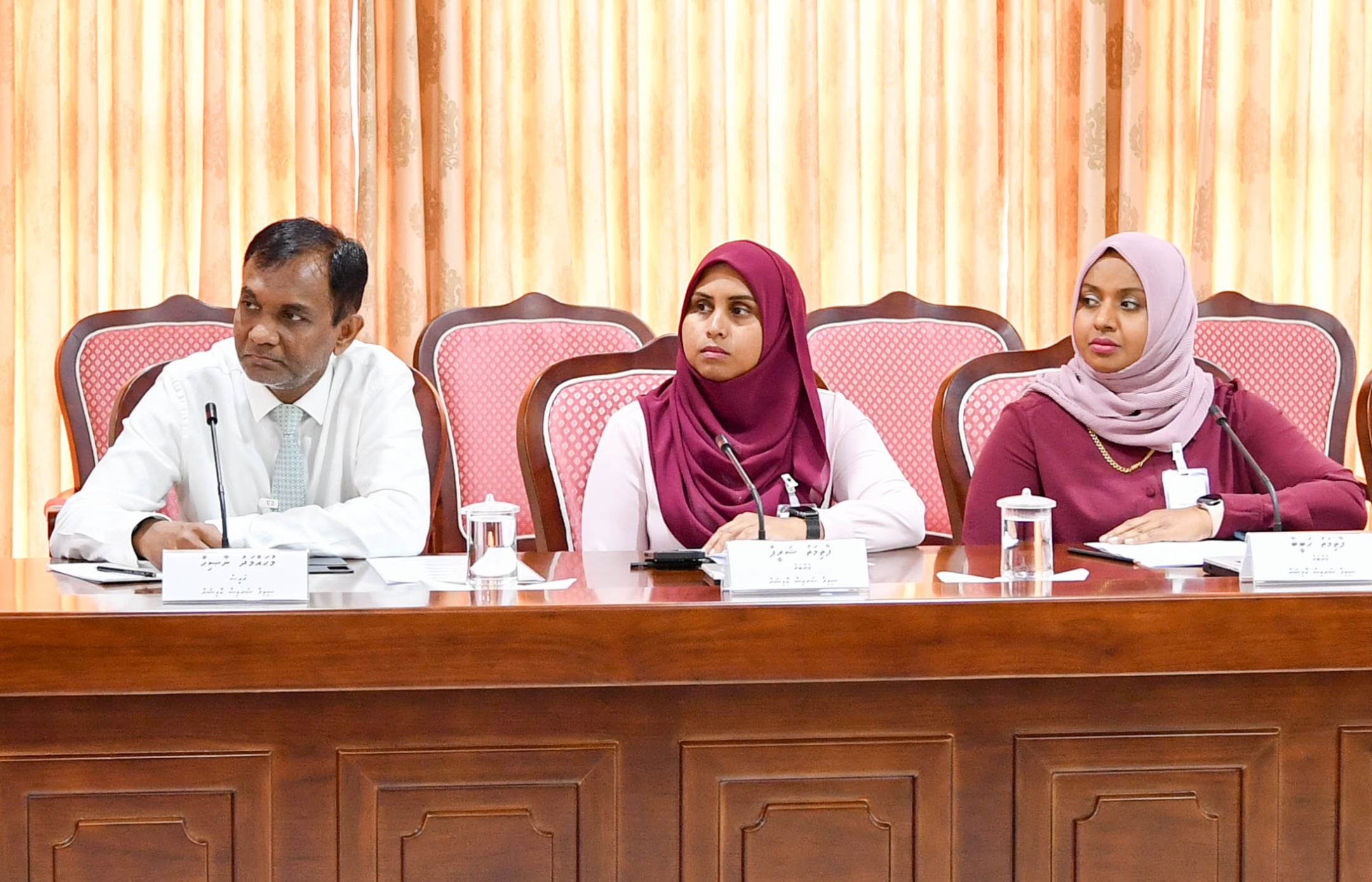 ސިވިލްސާވިސްގެ ވަޒީފާއަކުން ރިޓަޔާވުމަށްފަހު ދައުލަތުގެ އެހެން ވަޒީފާއެއް އަދާކުރުން ހަމައެއް ނުޖެހޭ: ނާސިޙް