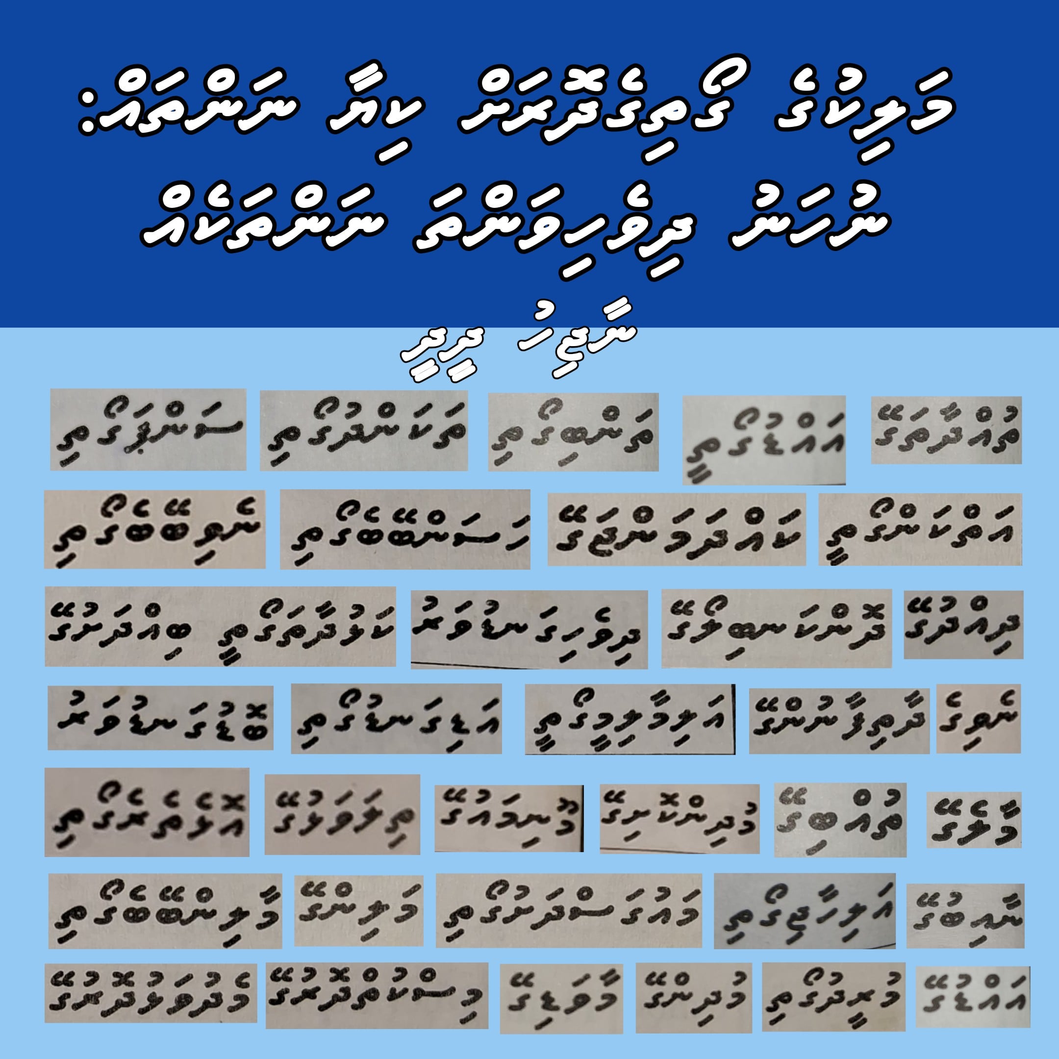 މަލިކުގެ ގޯތިގެދޮރަށް ކިޔާ ނަންތައް: ނުހަނު ދިވެހިވަންތަ ނަންތަކެއް!