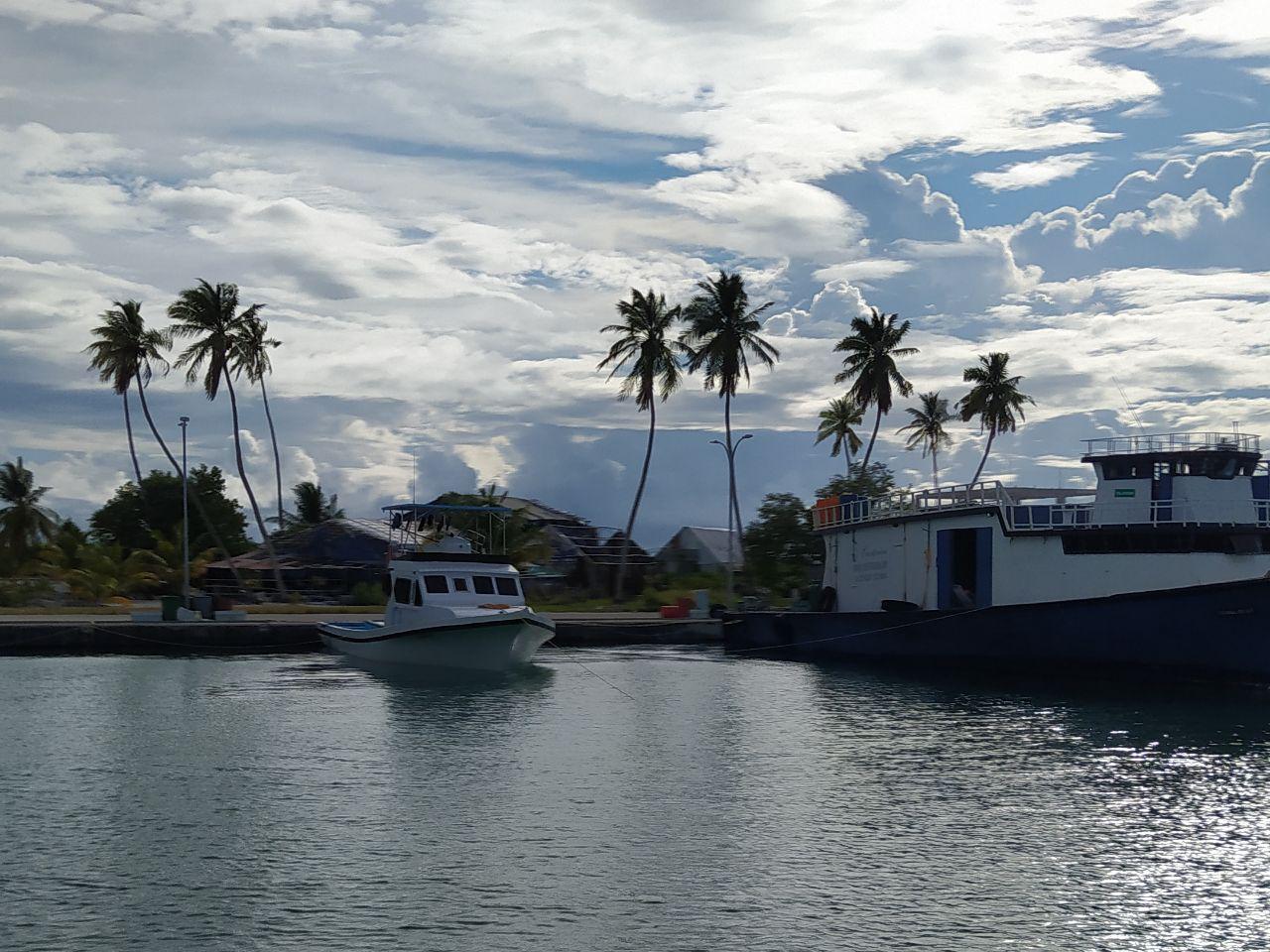 ލ. ގަމާ އައްޑޫ އަދި ފުވައްމުލަކުގެ ކާފިއު ހަވީރު ހަތަރަކުން ފަތިހު ހަތަރަކަށް!