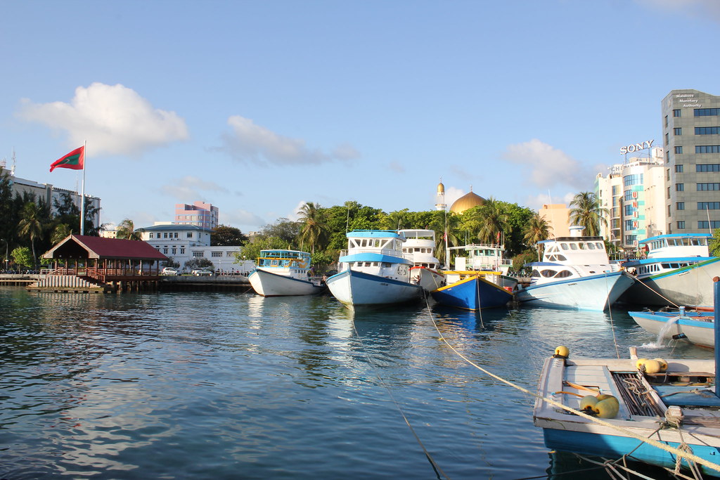 ބޯޓުގެ ފަޅުވެރިންގެ ހާލު ދެރަވީ ޖެނެރޭޓަރުގެ ދުމުގެ އަސަރުކޮށްގެން: ފުލުހުން