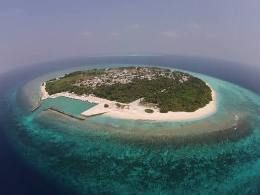 އުތީމުގައި 9 ދުވަހުގެ ކުއްޖަކު މަރުވި މައްސަލަ ބަލަން ފަށައިފި