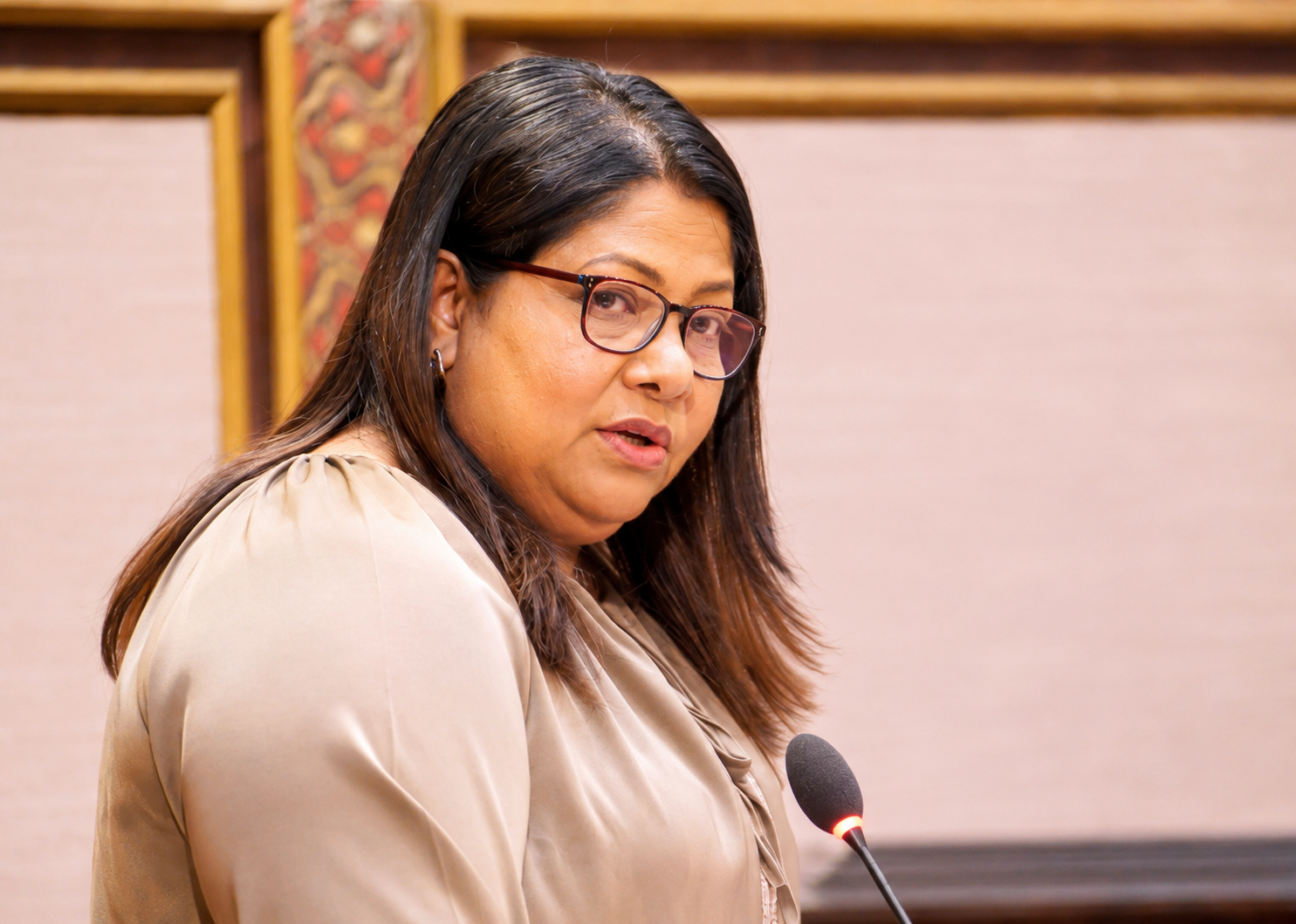 އެމްޑީޕީ ސަރުކާރުން ފެށި 16 މަޝްރޫއެއް ކުރިއަށް ނުގެންދެވިގެން މި ސަރުކާރުން ހުއްޓާލައިފިން: ގީލާ