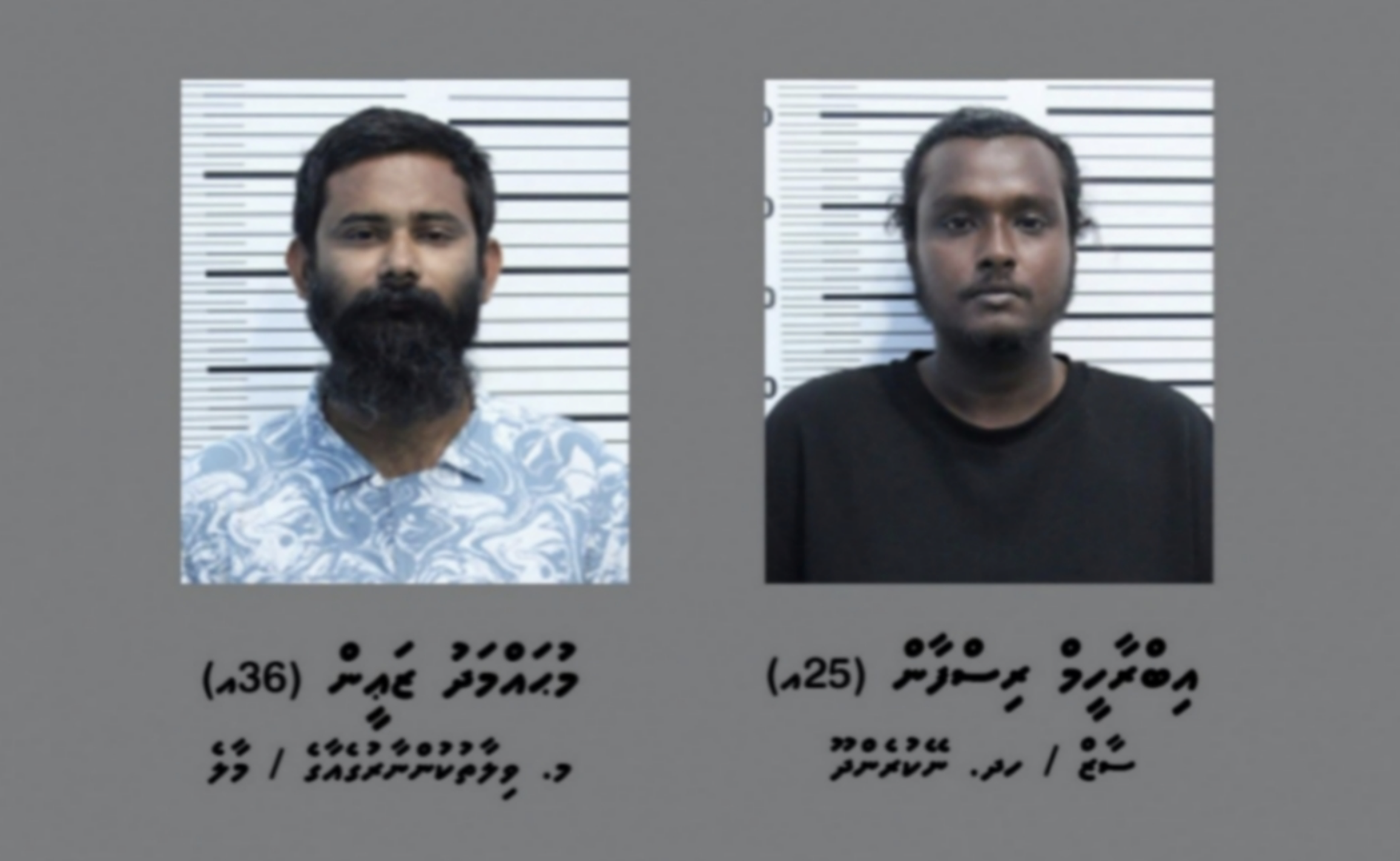 ހުޅުމާލޭން މަސްތުވާތަކެއްޗާއެކު ހައްޔަރު ކުރި ދެ މީހުން 12 އަހަރާއި ހަ މަހަށް ޖަލަށްލައިފި