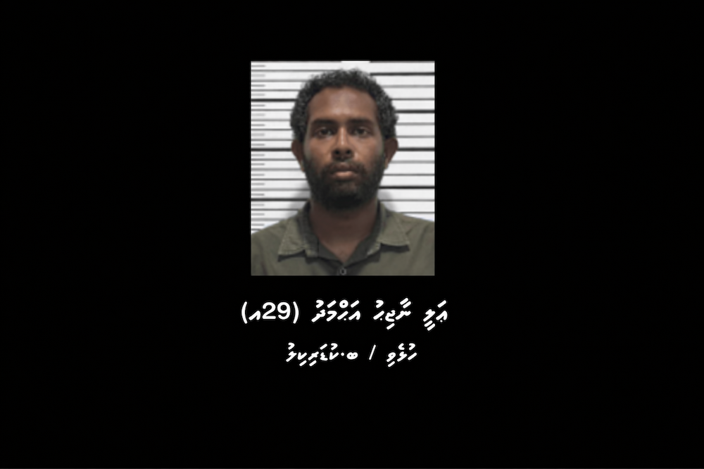 ކުޑަކުދިންގެ ބަރަހަނާ މަންޒަރު ހިމެނޭ ތަކެތި ގެންގުޅުނު ކަމުގެ ތުހުމަތުގައި ހައްޔަރުކުރި މީހަކު ދޫކޮށްލައިފި