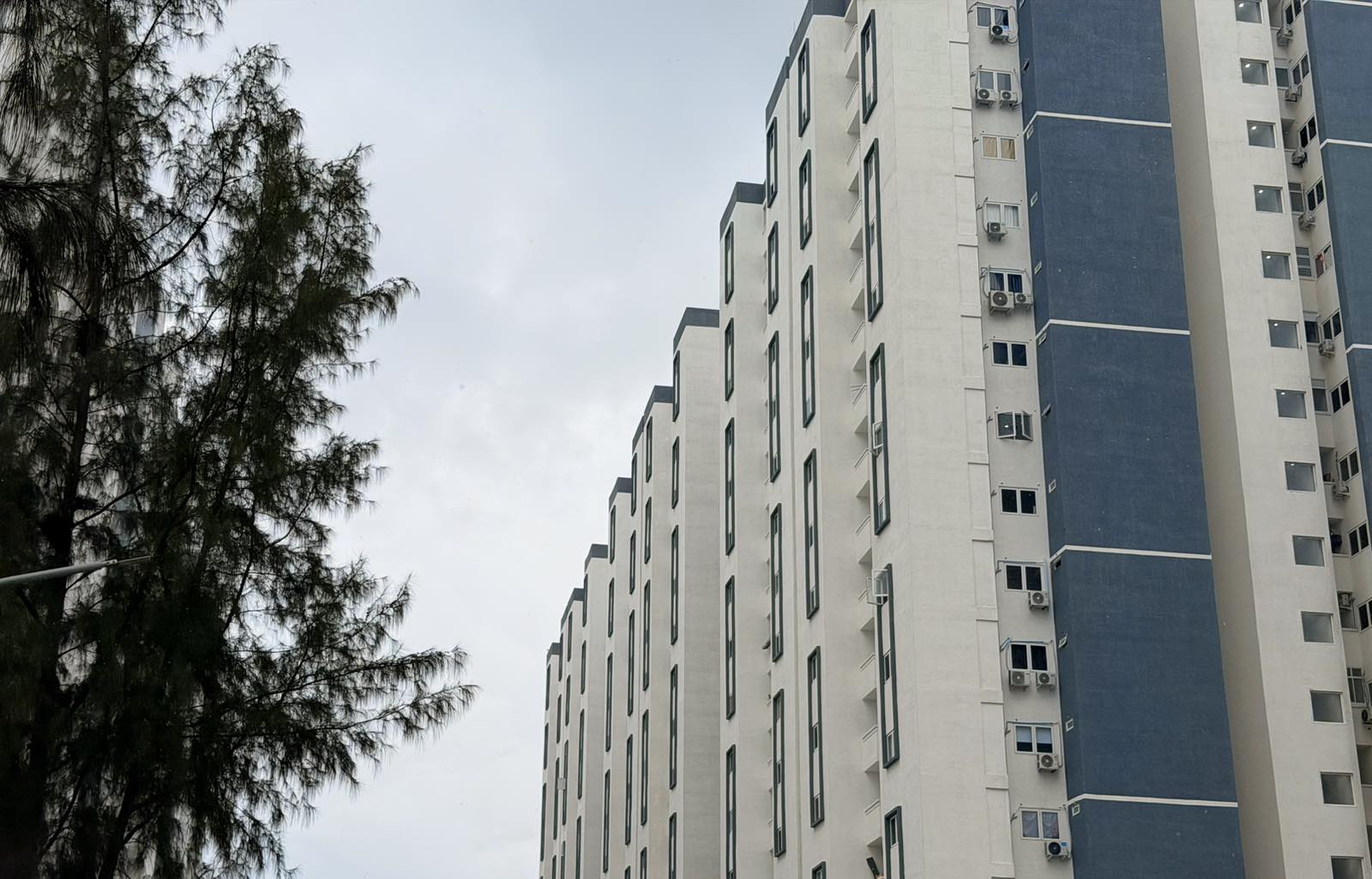 "ބިންވެރިޔާ" ޚާއްޞަ ސްކީމުގެ ކެޓަގަރީ ތިނަކުން ގޯއްޗާއި ފުލެޓަށް އެދުމުގެ ފުރުޞަތު ހުޅުވާލަނީ