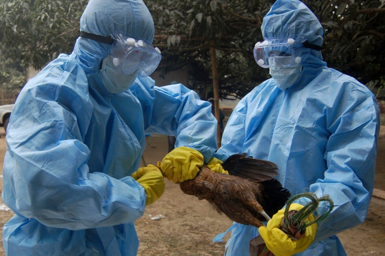 އިންޑިޔާގައި ދޫނި ރޯގާ ފެތުރެން ފަށައިފި