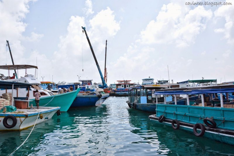 އަންނަ މަހުން ފެށިގެން ބަރުމަރުކާ ނެތް އުޅަނދުތަކަށް ޓީޖެޓީ ސަރަހައްދަށް ނުވަދެވޭނެ