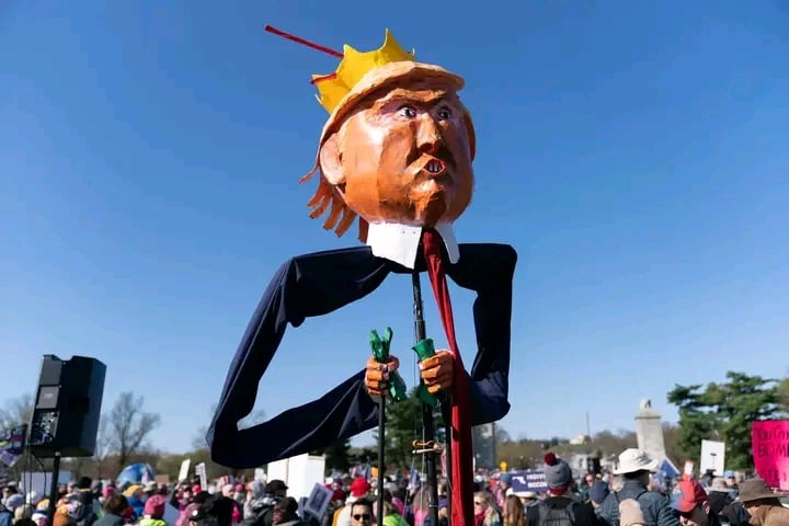 އެމެރިކާގައި އެތައް ބަޔަކު ނިކުމެ ރަސްކަލެއް ބޭނުން ނުވާ ކަމަށް ގޮވަންފަށައިފި