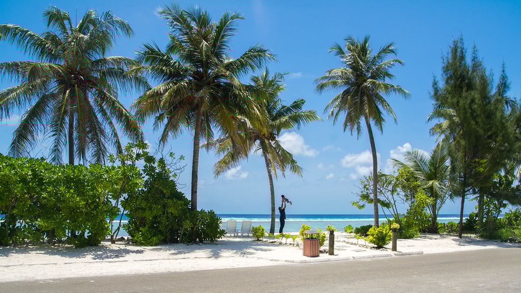 ހުޅުމާލޭ ފަރަށް ލިބުނު ގެއްލުމަކަށް 198،000 ރުފިޔާއިން ޖޫރިމަނާކޮށްފި