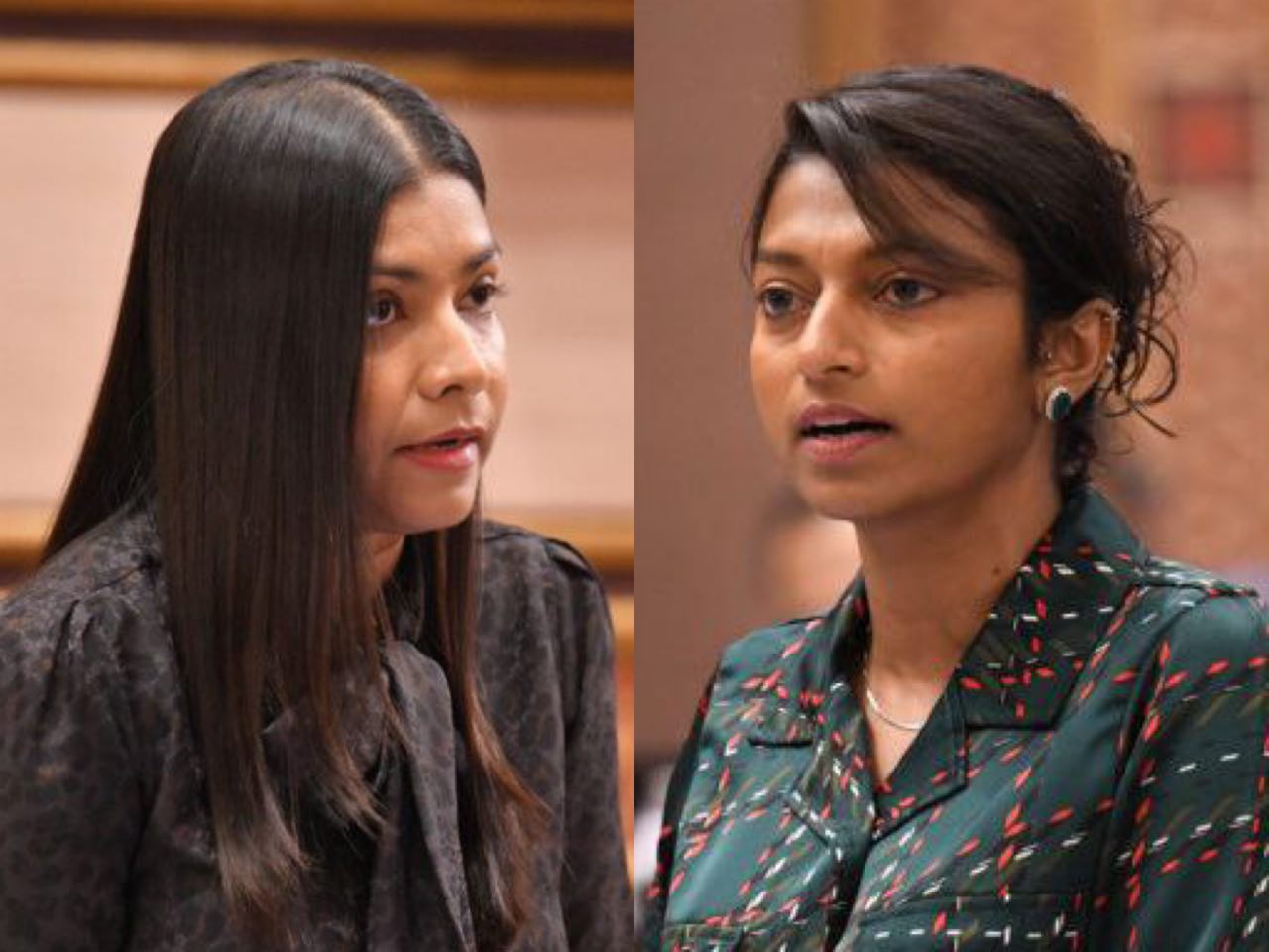 ރޮޒައިނާ އީވާއަށް: މަޖިލިސް ހުއްޓުވައި ޖަރީމާ ހިންގާފައި ސަރުކާރު ބޮލުގައި އަޅުވާނެކަމެއް ނެތް