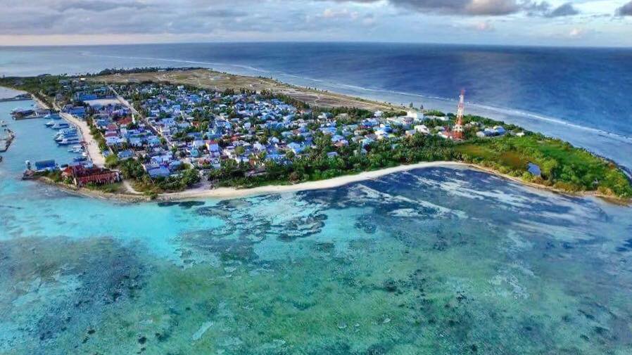 ރާއްޖޭގައި ކޮންޓްރޯލްކޮށްފައިވާ ހޯއްގޮވާ ކެއްސުމަށް ތިން ކުއްޖަކު ޕޮޒިޓިވްވެއްޖެ