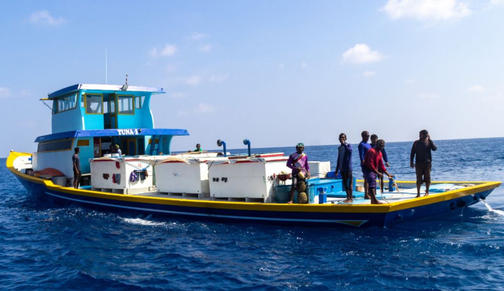 ފަހުގެ ޓެކްނޮލޮޖީ ހިމެނޭ މަސްވެރި އުޅަނދެއް ތަރައްގީ ކޮށްދޭނެ ފަރާތެއް ހޯދަނީ