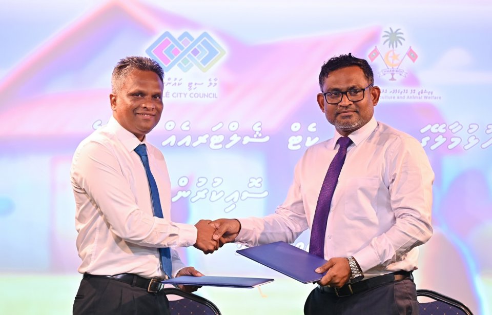 ހުޅުމާލޭގައި ބުޅާ ފެސިލިޓީއެއް އަޅަން ސިޓީ ކައުންސިލާ ހަވާލުކޮށްފި