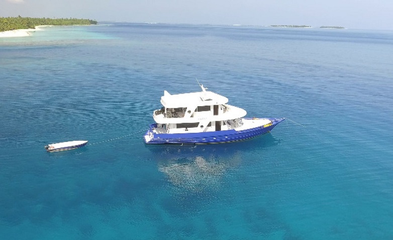 ގައިޑްލައިނަށް ފެތޭ 109 ސަފާރީއަކަށް ހުއްދަ ދީފި