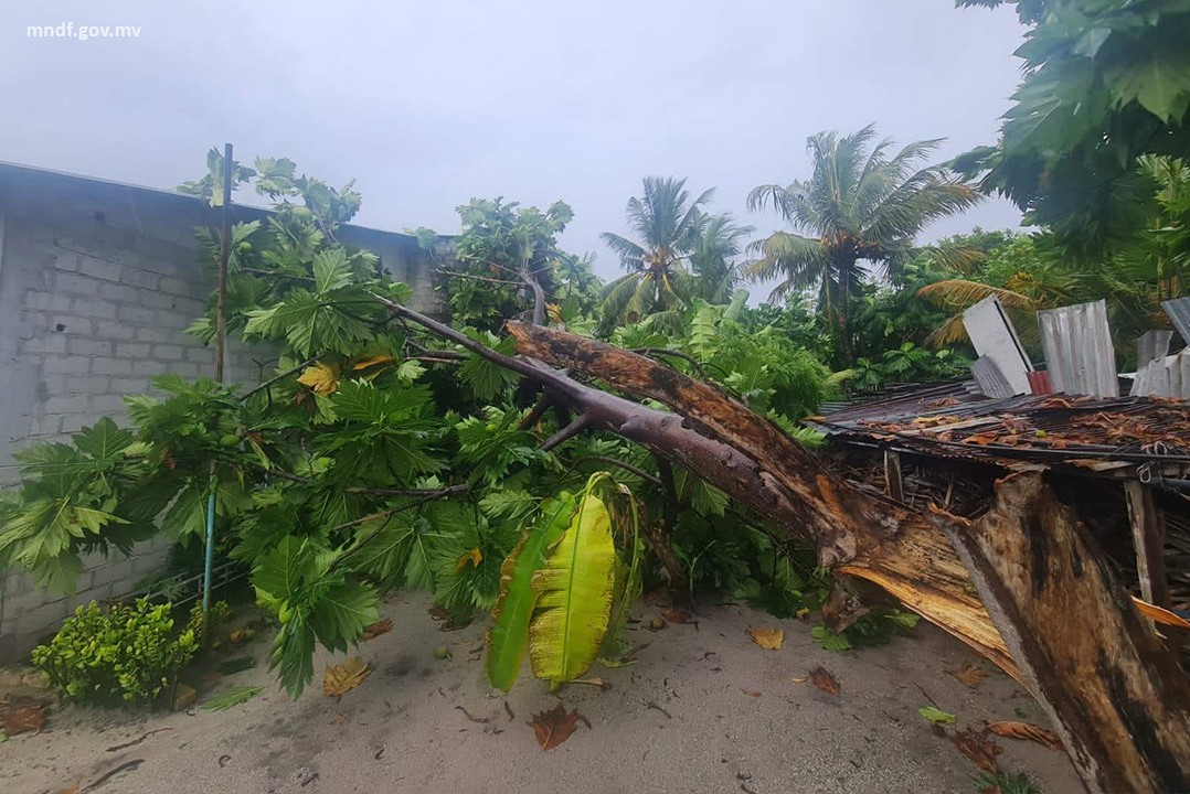 ވިއްސާރައިގައި ރާއްޖޭގެ ރަށްރަށަށް ބޮޑެތި ގެއްލުންތަކެއް ދަނީ ލިބެމުން: އެންޑީއެމްއޭ