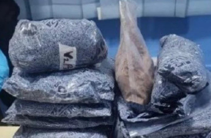 ރާއްޖެ އެތެރެކުރަން އުޅުނު ފަސް ކިލޯގެ ޑްރަގު އަތުލައިގެންފި