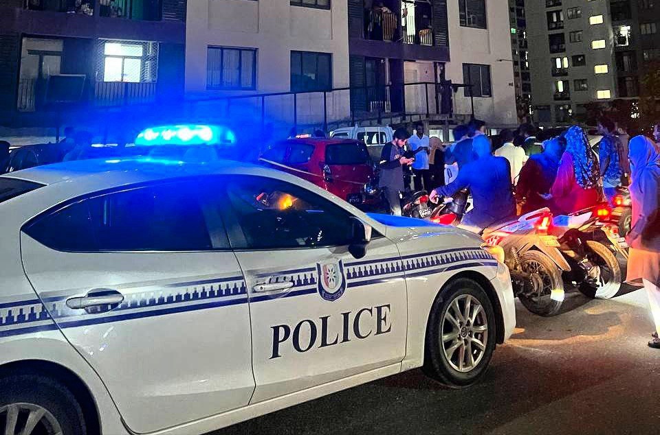 ހިޔާގެ ޓަވަރަކުން ވެއްޓުނު ކުއްޖާ ނިޔާވެއްޖެ