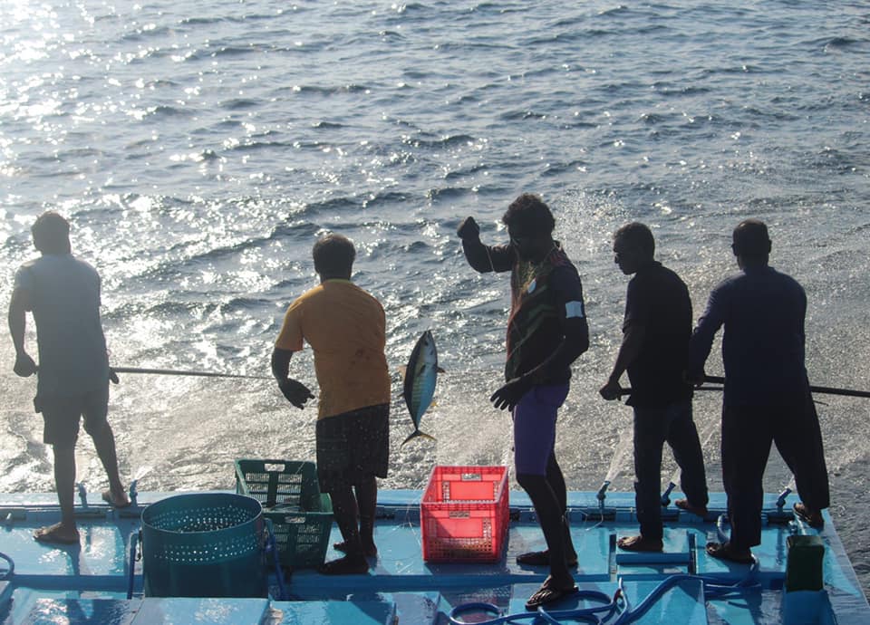 މިފްކޯއިން ވިއްކާ ޑީސަލްގެ އަގު ބޮޑުކޮށްފި