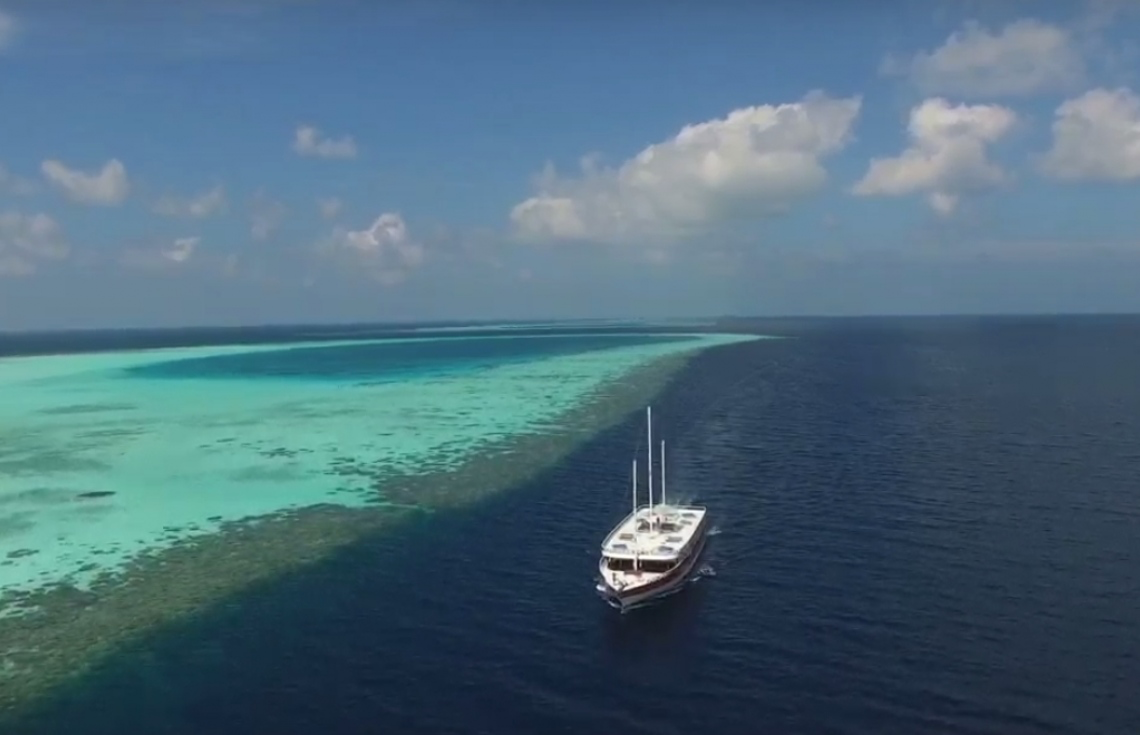 ޑައިވިނަށް ފޭބި ފަތުރުވެރިއަކު މަރުވެއްޖެ