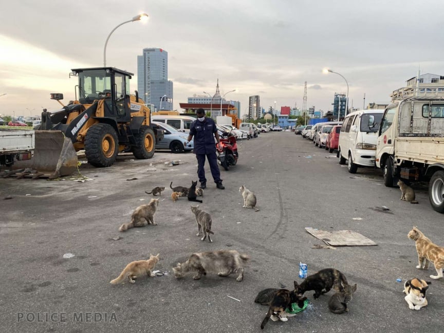 ތޮއްޖެހިފައިވާ މާލެ، ބުޅަލުގެ ނަޖިހުން ފުރެނީ