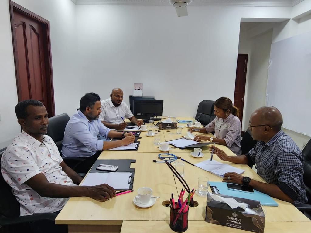 ޑިމޮކްރެޓުންނާއެކު ޕީޕީއެމުން މިކުރަނީ ކޮން މަޝްވަރާއެއް؟