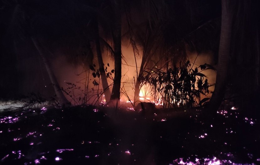 ފުވައްމުލަކު ދޫޑިގަމްގައި އަލިފާނުގެ ހާދިސާއެއް