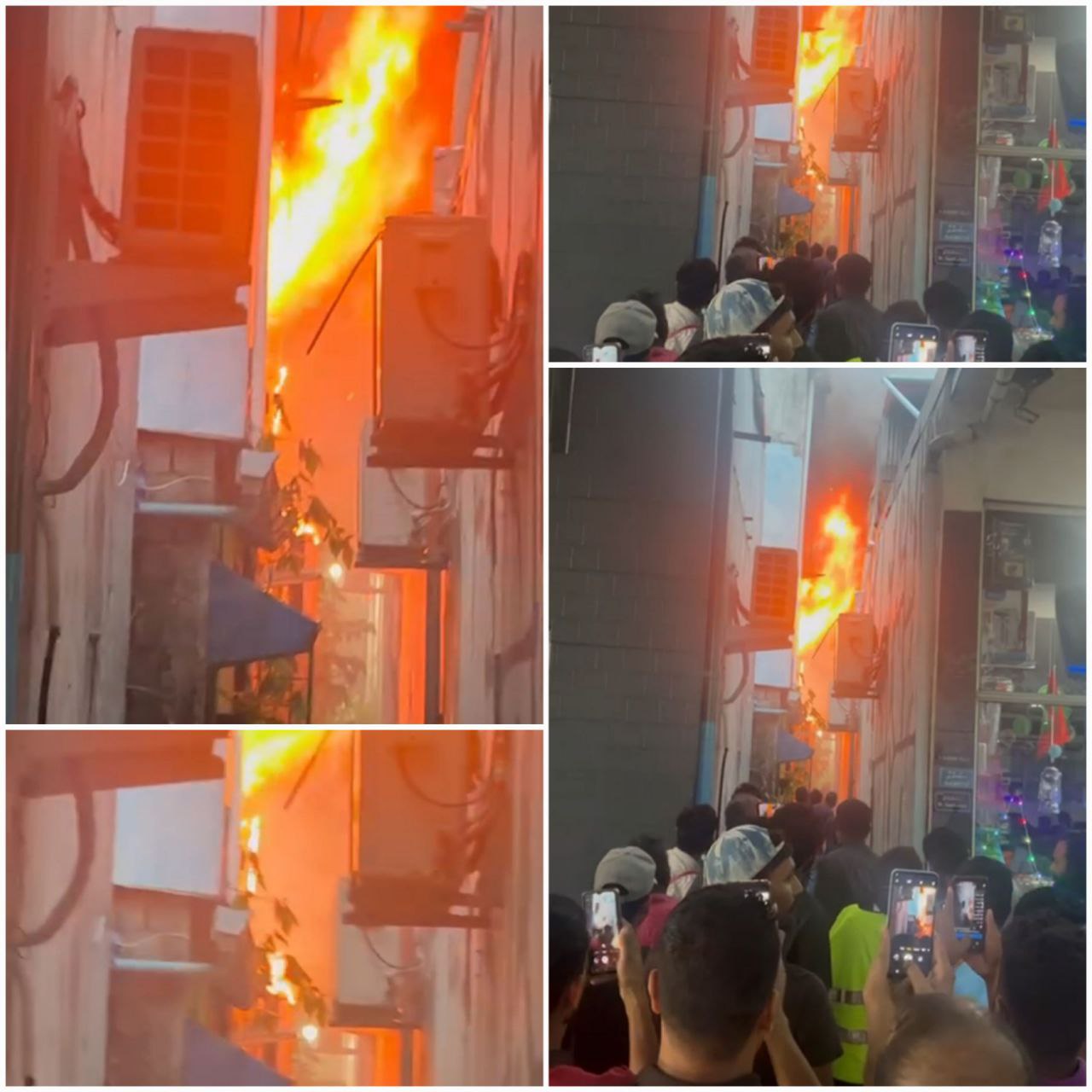 ހ. ސަންގުރޭޒްގެ ފުރަތަމަ ފަންގިފިލާގައި ރޯވި އަލިފާން ކޮންޓްރޯލް ކޮށްފި