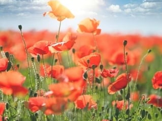 އިލާހީ ރޭއްވެވުމާ އެއްގޮތްވެ ވަޑައިގަތުން - 2