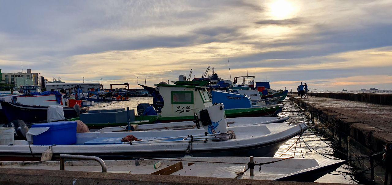 މާލޭގައި ތާށިވެފައިތިބި ރަށްރަށުގެ ރައްޔިތުންނަށް ރަށަށް ދާން ފުރުސަތު ލިބެން ޖެހޭ - ރައީސް ނަޝީދު