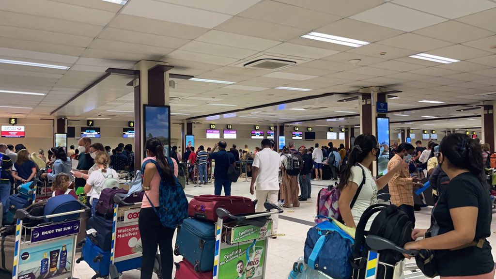 ފަަލަމަސްގަނޑުގައި ފޮރުވައިގެން މަސްތުވާތަކެތި އެތެރެކުރަން އުޅުނު ދިވެއްސަކު އަތުލައިގެންފި